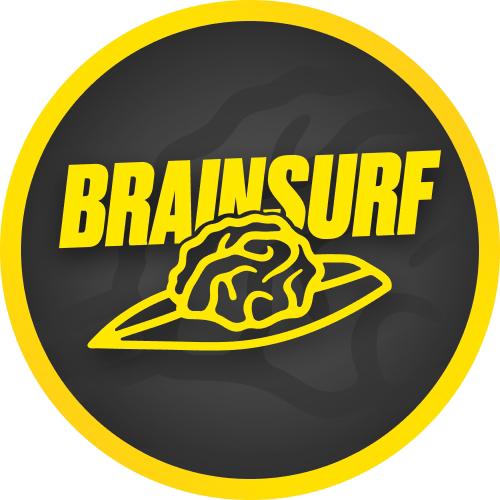 Организатор BrainSurf
